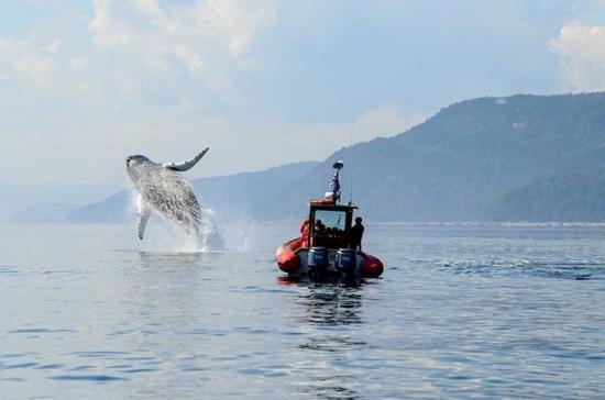 Motel De L'Anse A L'Eau Tadoussac Ngoại thất bức ảnh